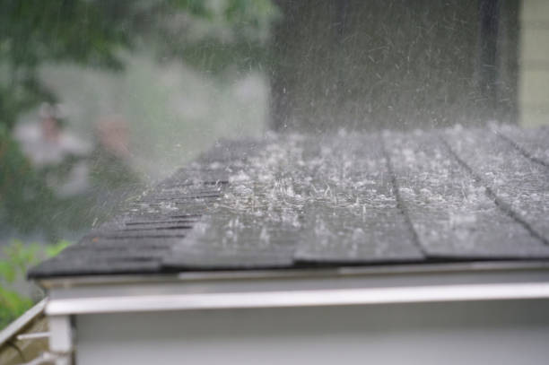 Best Storm Damage Roof Repair  in Rainsville, AL